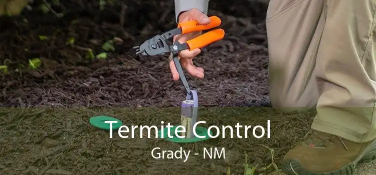 Termite Control Grady - NM