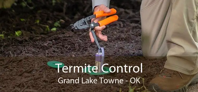 Termite Control Grand Lake Towne - OK