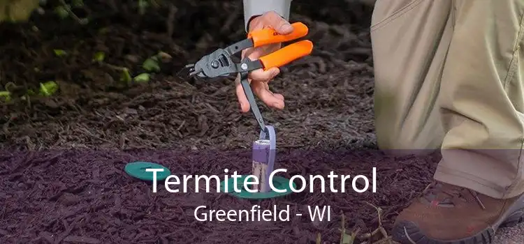 Termite Control Greenfield - WI
