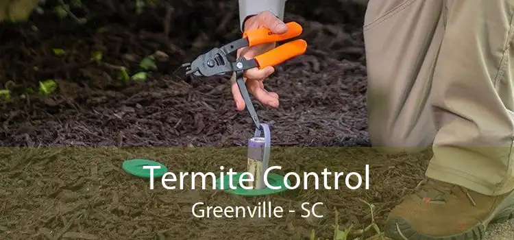 Termite Control Greenville - SC
