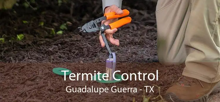 Termite Control Guadalupe Guerra - TX