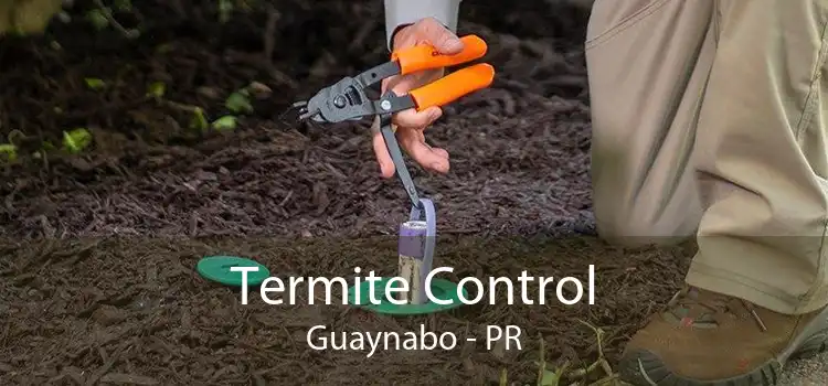 Termite Control Guaynabo - PR