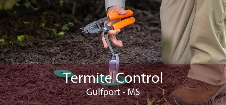 Termite Control Gulfport - MS