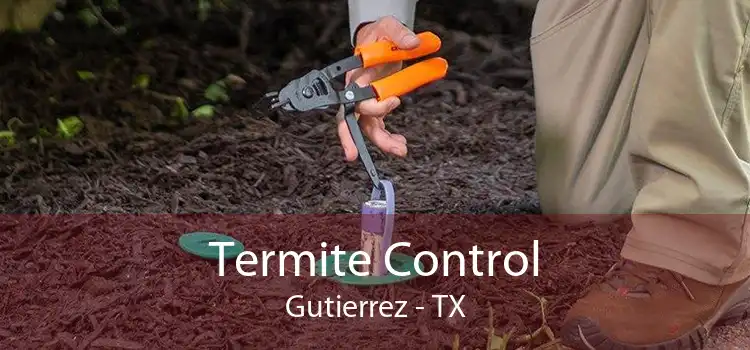 Termite Control Gutierrez - TX