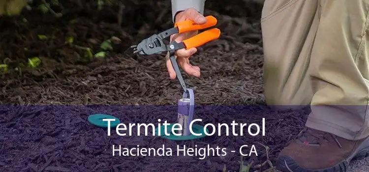 Termite Control Hacienda Heights - CA