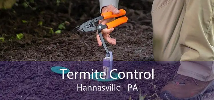 Termite Control Hannasville - PA