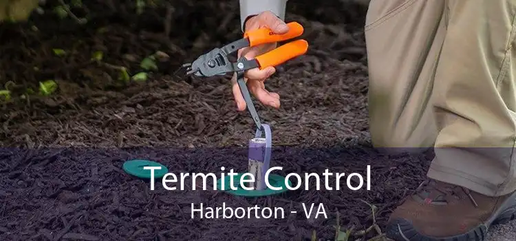 Termite Control Harborton - VA
