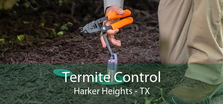 Termite Control Harker Heights - TX