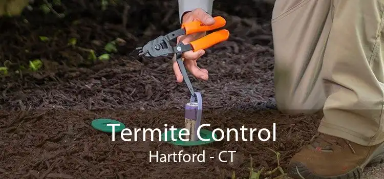 Termite Control Hartford - CT