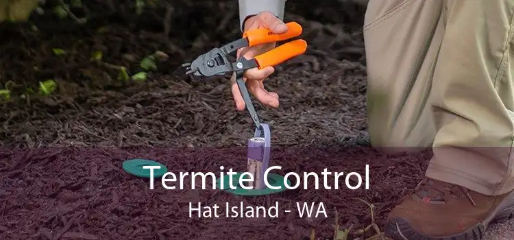 Termite Control Hat Island - WA