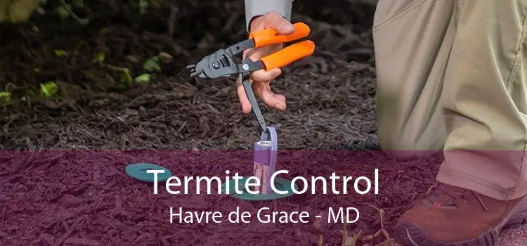Termite Control Havre de Grace - MD