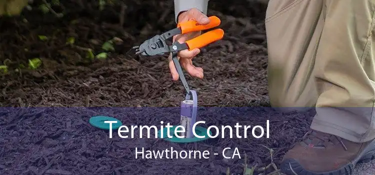 Termite Control Hawthorne - CA
