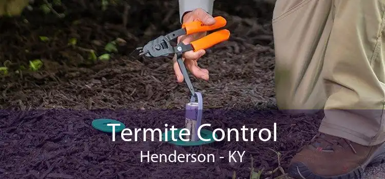 Termite Control Henderson - KY