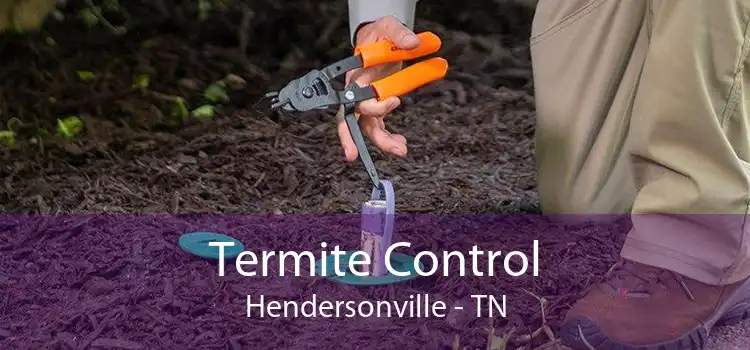 Termite Control Hendersonville - TN