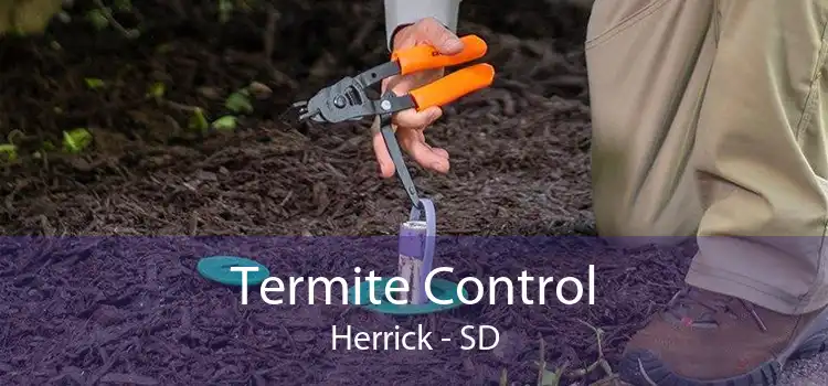 Termite Control Herrick - SD