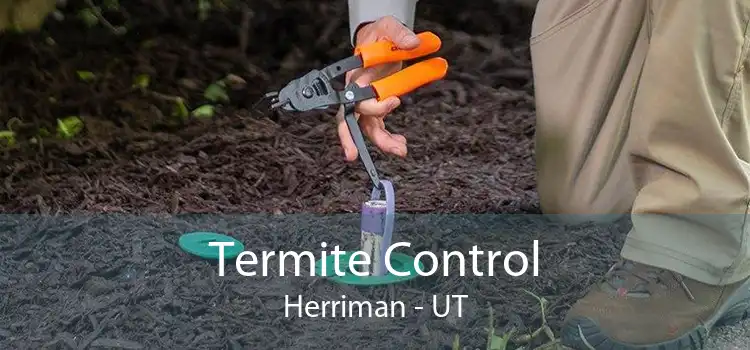 Termite Control Herriman - UT