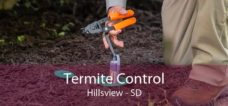 Termite Control Hillsview - SD