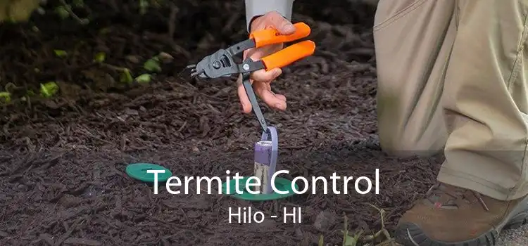 Termite Control Hilo - HI