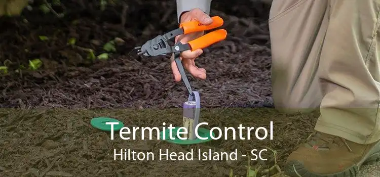 Termite Control Hilton Head Island - SC