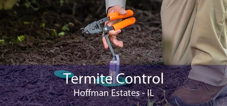 Termite Control Hoffman Estates - IL