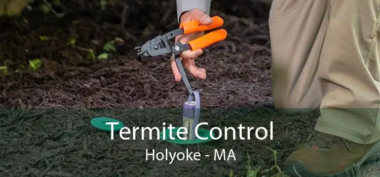 Termite Control Holyoke - MA
