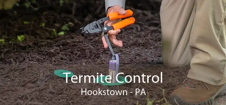 Termite Control Hookstown - PA