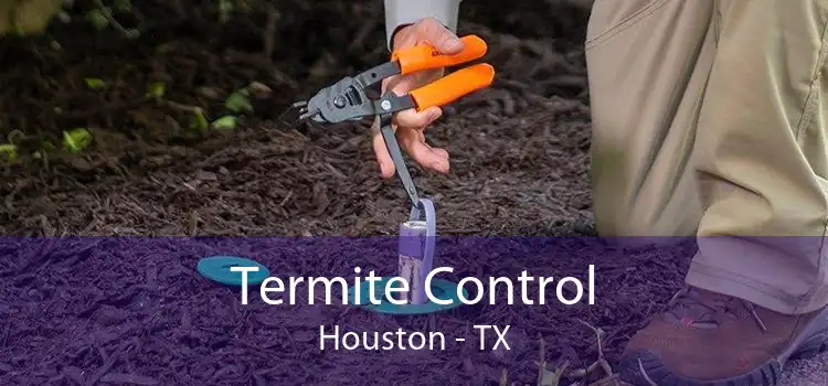 Termite Control Houston - TX
