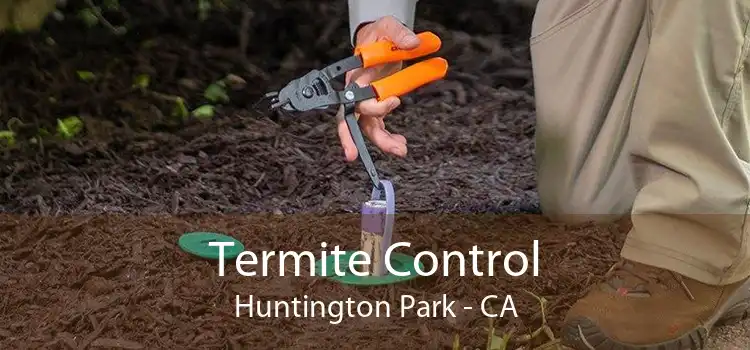 Termite Control Huntington Park - CA