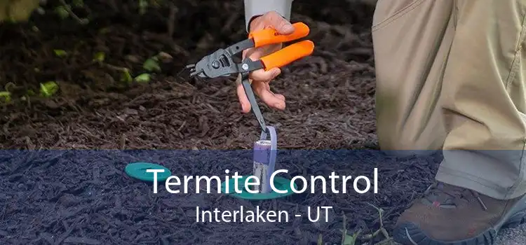 Termite Control Interlaken - UT
