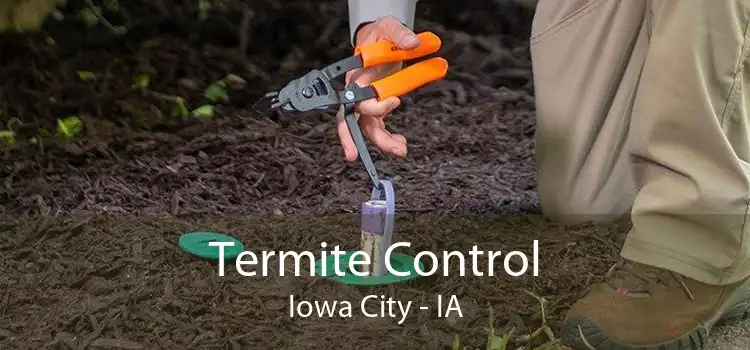 Termite Control Iowa City - IA