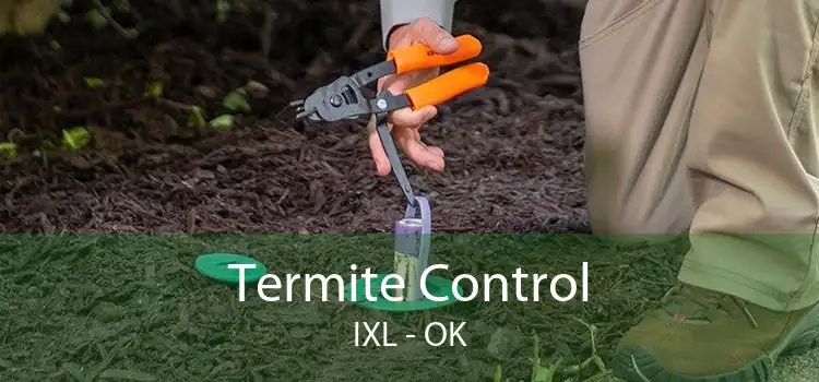 Termite Control IXL - OK