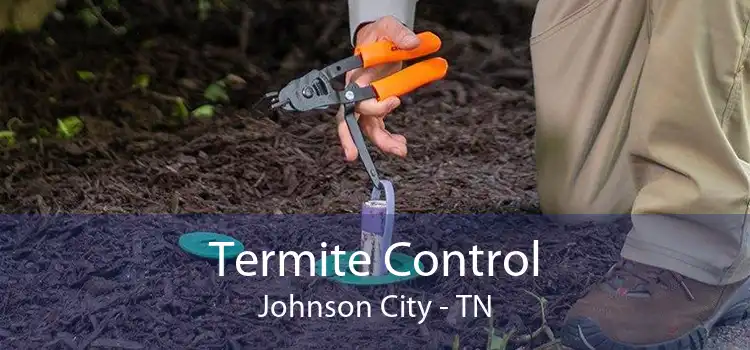 Termite Control Johnson City - TN