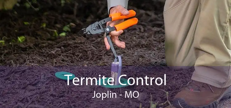 Termite Control Joplin - MO