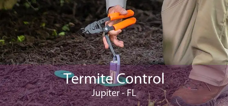 Termite Control Jupiter - FL