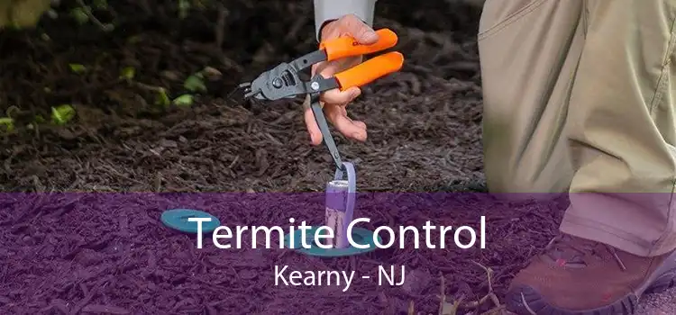 Termite Control Kearny - NJ