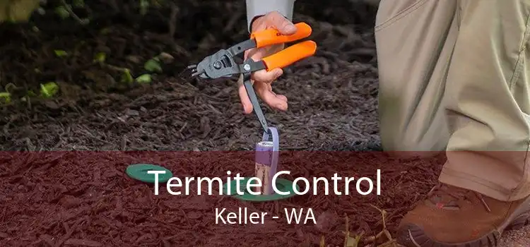 Termite Control Keller - WA