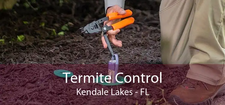 Termite Control Kendale Lakes - FL