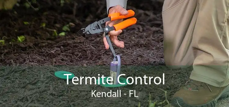 Termite Control Kendall - FL