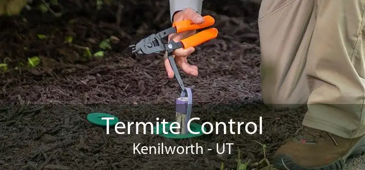 Termite Control Kenilworth - UT