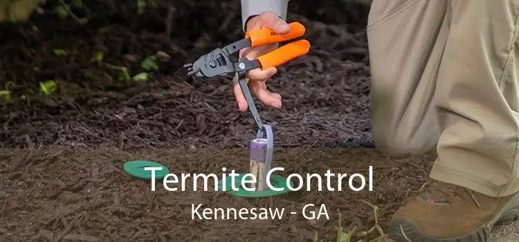 Termite Control Kennesaw - GA