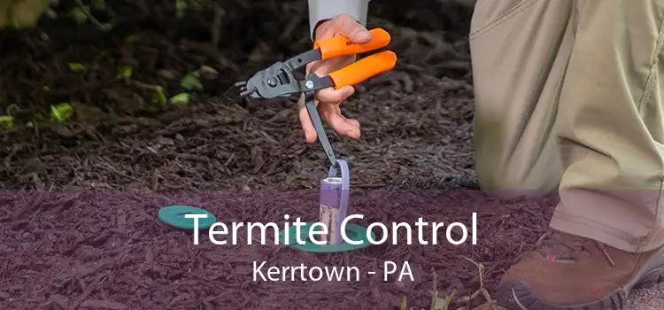 Termite Control Kerrtown - PA