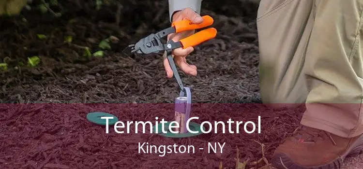 Termite Control Kingston - NY
