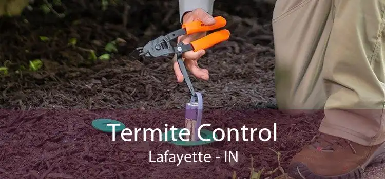 Termite Control Lafayette - IN