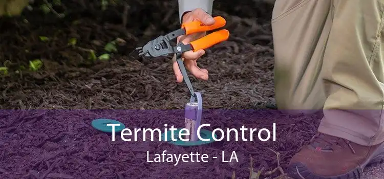 Termite Control Lafayette - LA