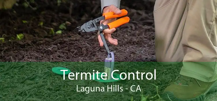 Termite Control Laguna Hills - CA
