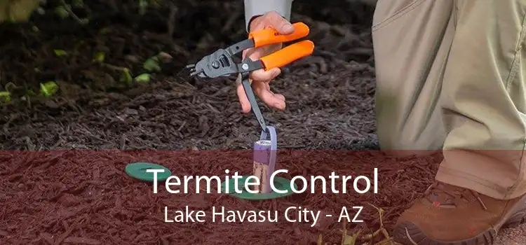 Termite Control Lake Havasu City - AZ