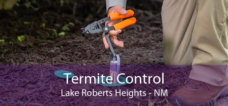 Termite Control Lake Roberts Heights - NM