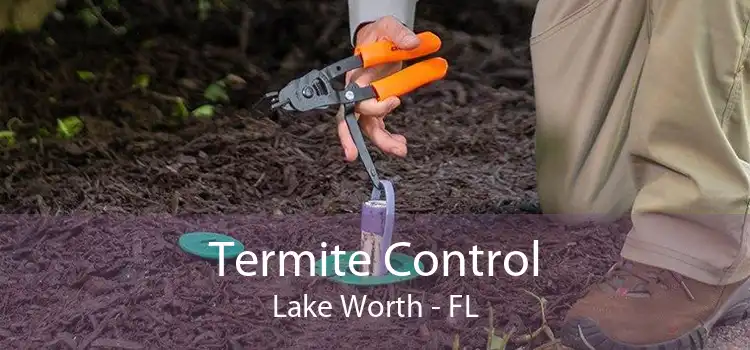 Termite Control Lake Worth - FL