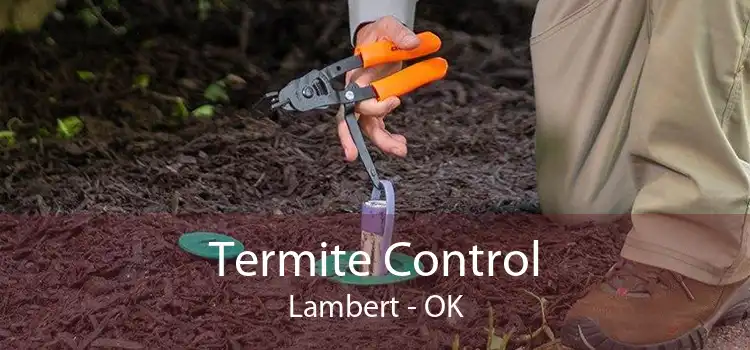 Termite Control Lambert - OK