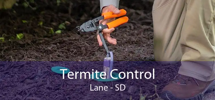 Termite Control Lane - SD